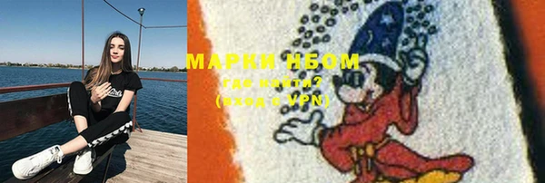 бошки Алексин
