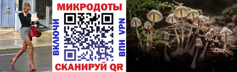 Псилоцибиновые грибы Cubensis  Жигулёвск 